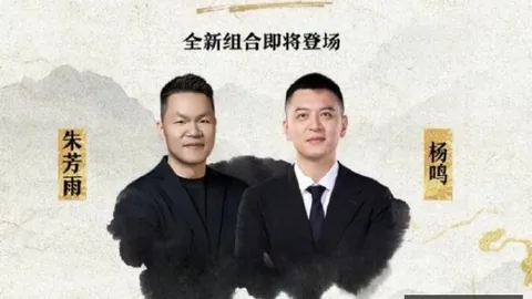 2026年上半年清越亏损深度解析：净损229亿，营收跌1626
